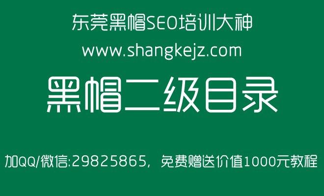 黑帽seo原理,seo排名波动大 - 湛江黑白帽seo技术培训-湛江网站优化