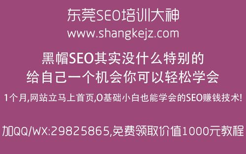 seo型网站,急性胃炎吃什么药 - 湛江黑白帽seo技术培训-湛江网站优化