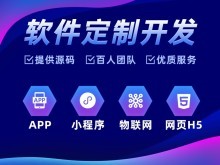 雷州网站建设-网站制作-网站设计公司