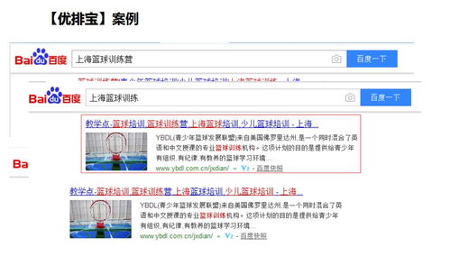 号众 优排宝 seo优化助力企业网站关键词快照排名,获得海量客户