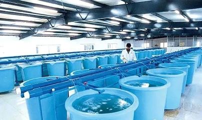 "中国对虾之都"创七个全国第一!产业实力雄厚,拥有中国驰名商标2个、广东省名牌产品43个