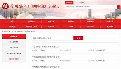 湛江网站优化权威发布_湛江seo优化公司精准访谈)
