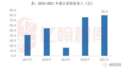 返乡置业潮 下的湛江楼市