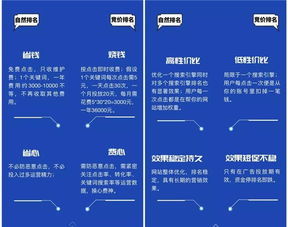 湛江关键词优化案例解析,如何提升网站排名与吸引更多潜在客户
